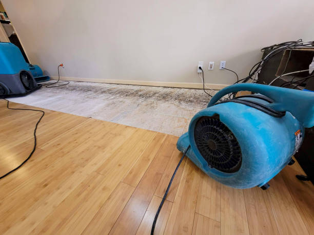 Professional Basement Flood Cleanup technician working in Butterfield, MN